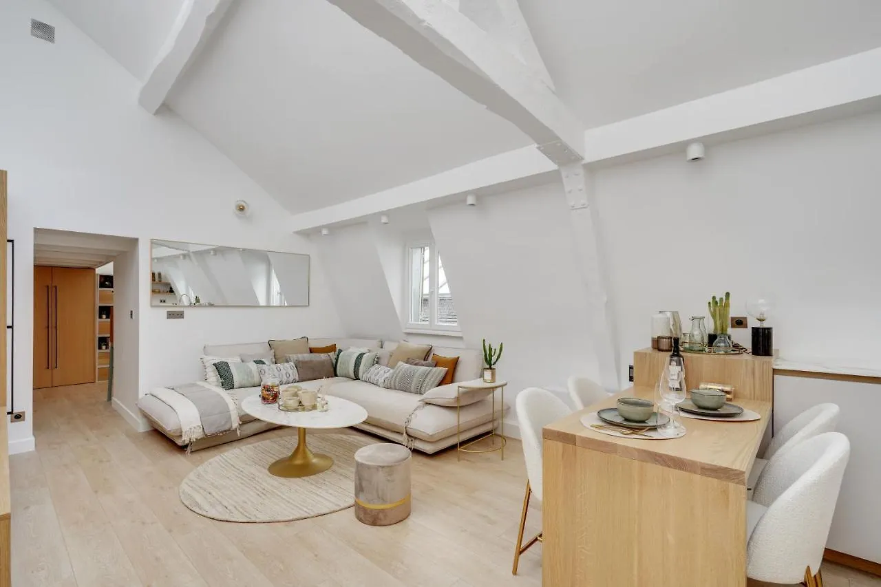 Amazing Historical Parisien Loft Next To Louvre Area-4 Apartment  Paris