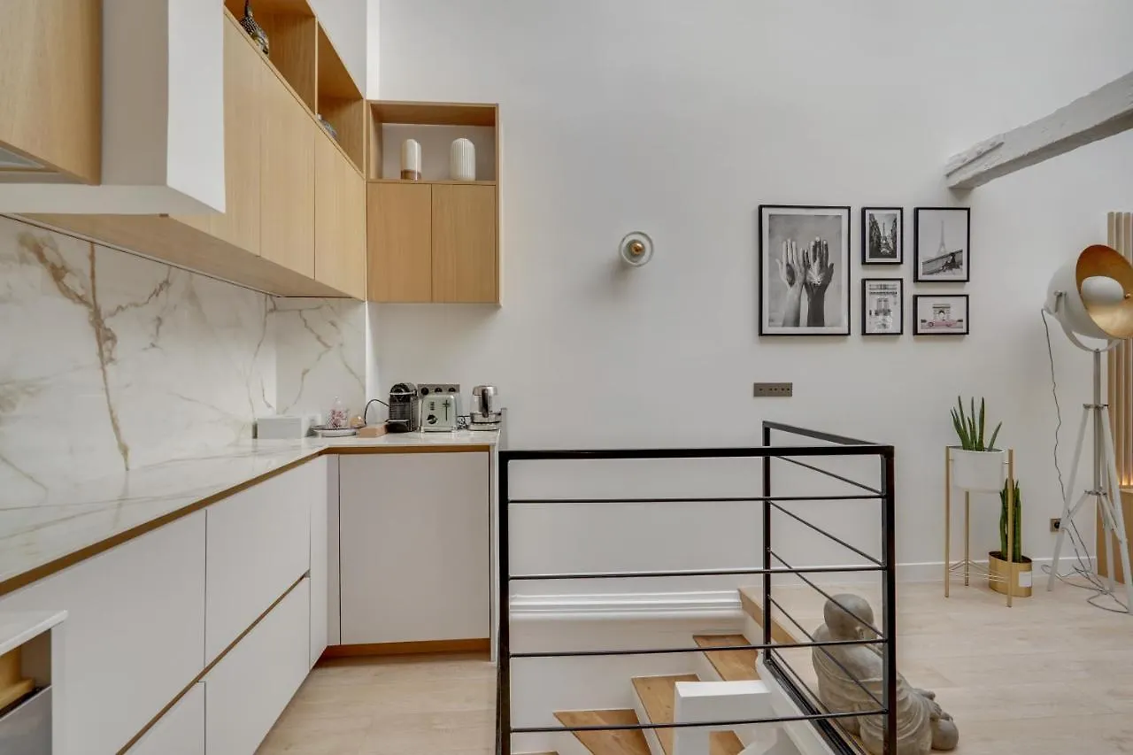 Amazing Historical Parisien Loft Next To Louvre Area-4 Apartment  Paris