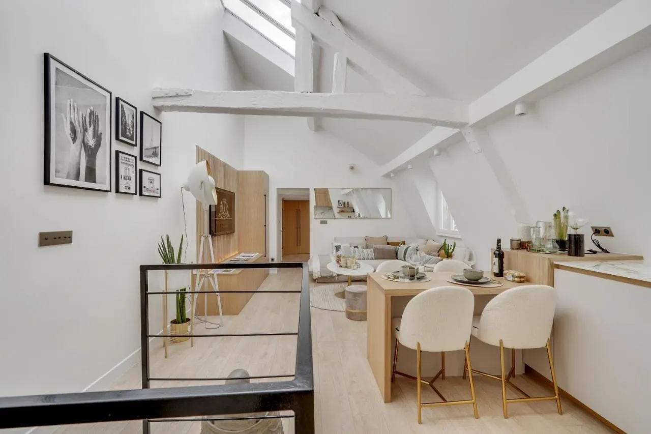 Amazing Historical Parisien Loft Next To Louvre Area-4 Apartment France